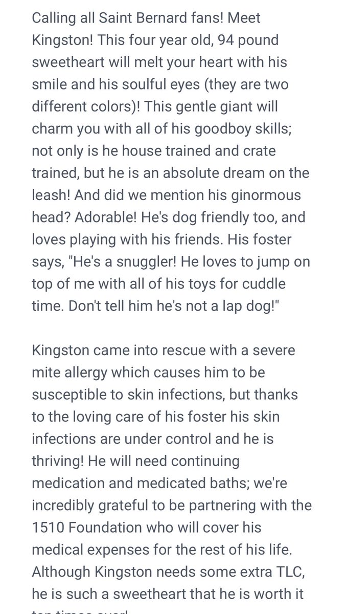 Friends, meet Kingston. He is quite literally perfect. A house trained, crate trained, 4-year-old gentle giant with medical expenses covered for life who tucks himself into bed. I cannot understand why this sweet dog hasn't been adopted yet, please share. shelterluv.com/embed/animal/H…