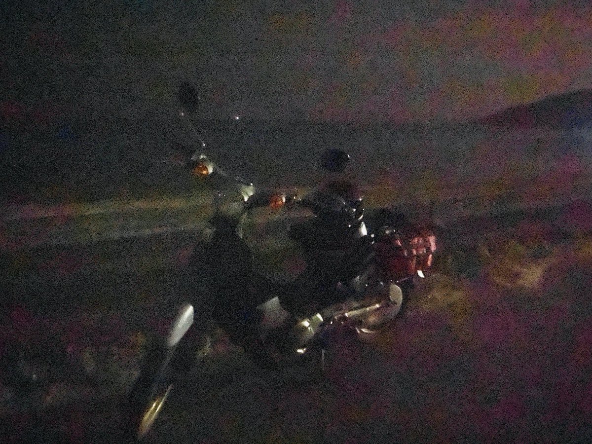 今日の🛵 