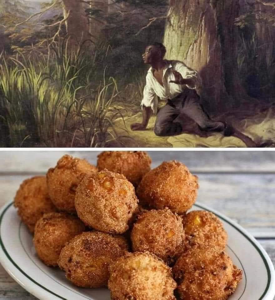 Escaping slaves used to throw balls of fried cornmeal out to distract the hound dogs from tracking them. The hound dogs would  stop barking and start eating. This is where the word hush puppies came from. 

 #BlackHistoryMonth