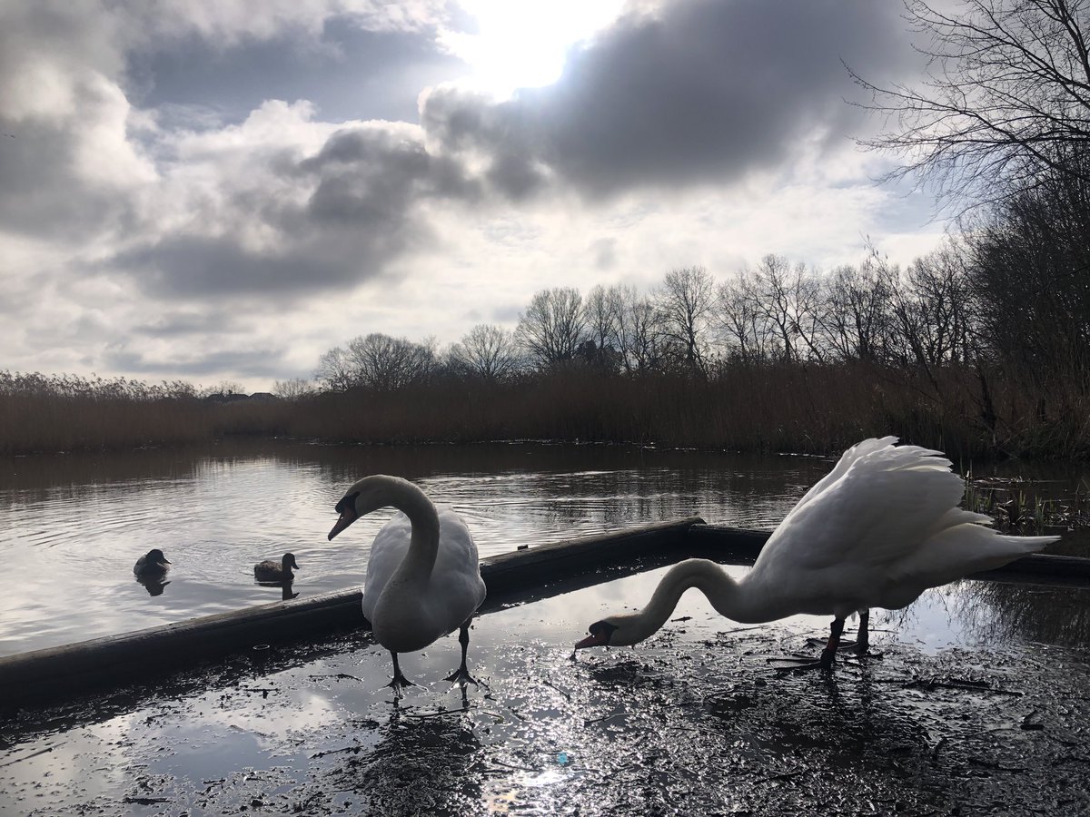 mdrakes1's tweet photo. Soggy but sunny 🌞 🏃‍♂️ in @IngrebourneEWT this morning. 10.5km banked for #REDFebruary with 94/200km completed. @TeachersRunClub @WeAreERC @runningpunks @UKRunChat https://t.co/c7fNXmcbTj