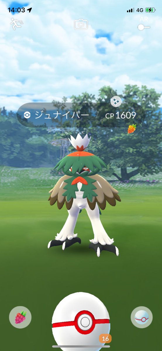 ルッコラ (@rukkora3155) / Posts / X