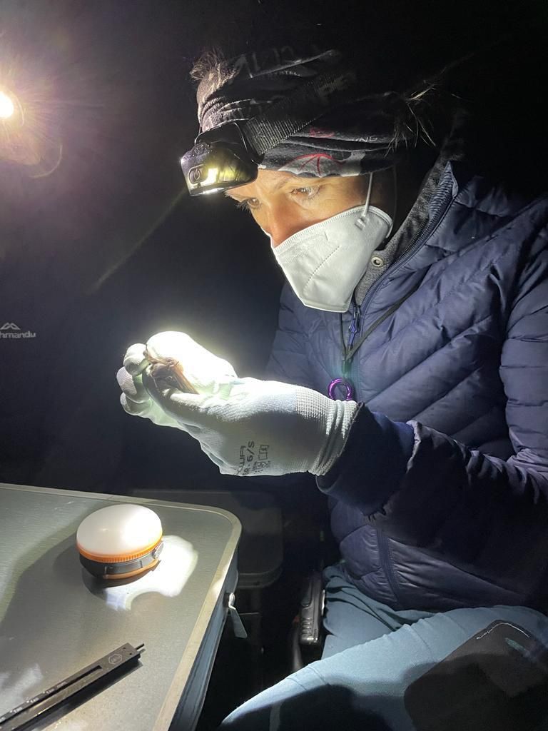 It's International Day of Women &amp; Girls in Science 💅👩‍🔬 🔭🧪🌱

We'd like to shed some light on the fantastic work of our conservation scientist &amp; bat expert Dr Charlotte Packman who has studied bats in Norfolk for more than a decade!