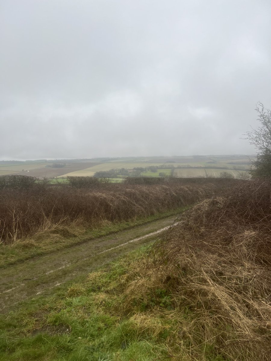 carlnchaz's tweet photo. Great start to a Sunday.  Plan it. Do it. Feel better for doing it.. @bignorms #woldsway #clearsthemind #readyforanotherweek #walkingsbrilliant https://t.co/uhZ3d0Tkpy