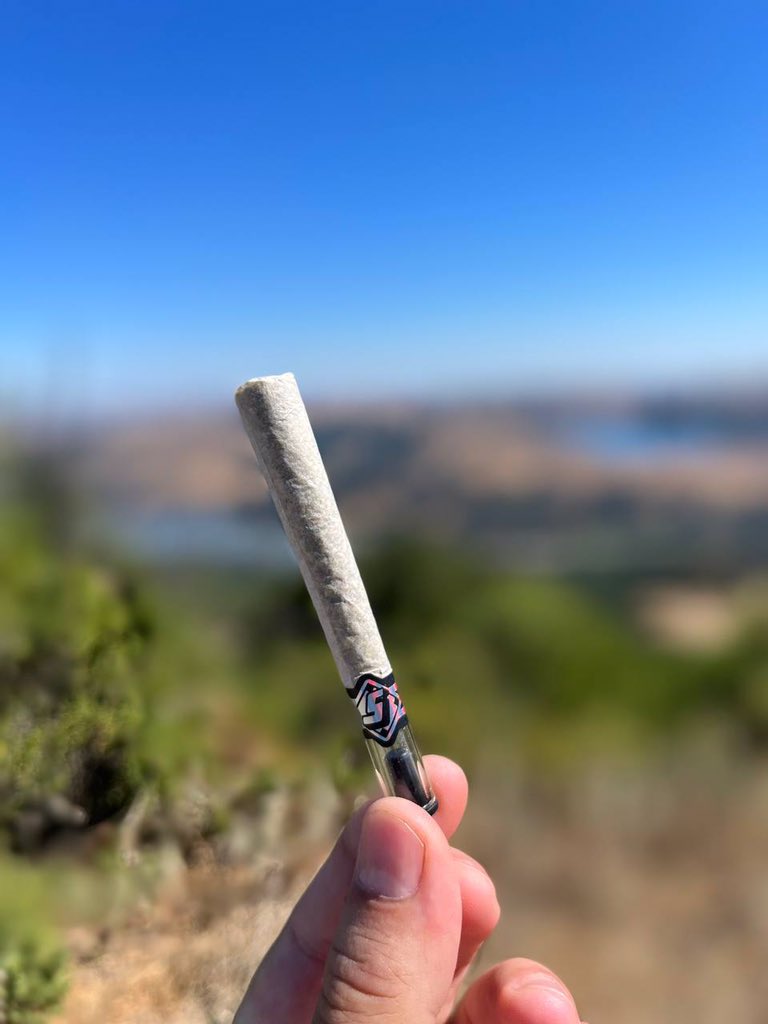 weed plug420 (@ZeddimaA) / Posts / X