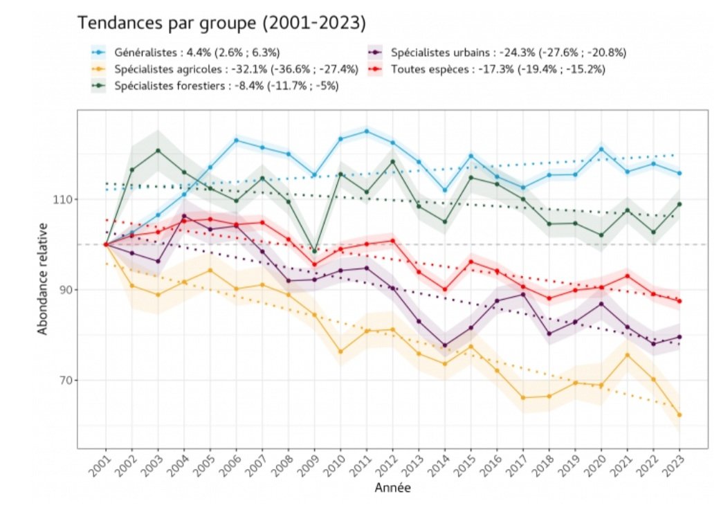 Le MNHN vient de publier les tendances d'évolution des populations d'oiseaux mis à jour avec les données de 2023 : le déclin global se poursuit (courbe rouge), particulièrement tiré par le déclin des oiseaux agricoles (courbe jaune). 
1/3