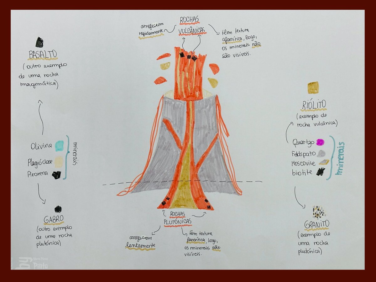 Bilingual Curriculum at St Julian's School tweet media