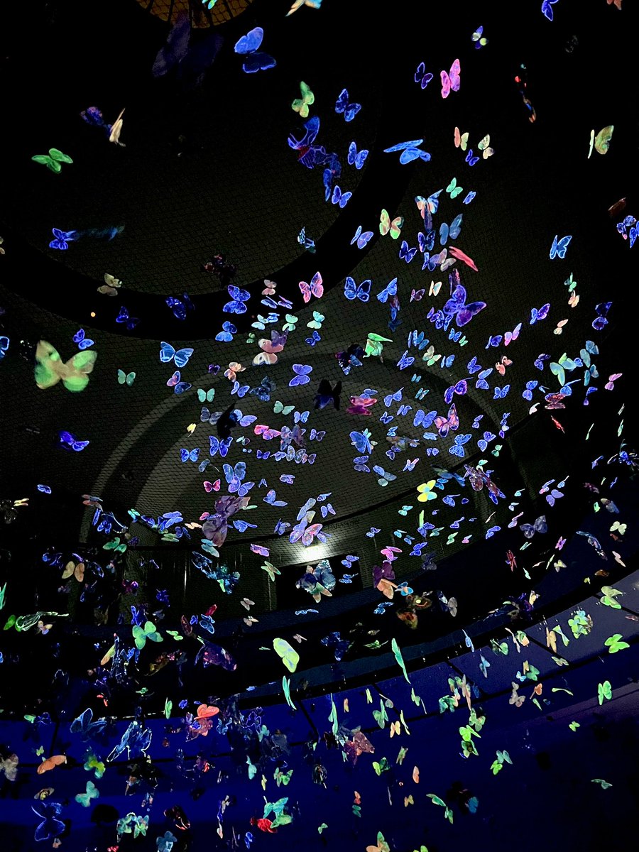 jyule25's tweet photo. Last night’s wander round @SPECTRAaberdeen #SpectraABDN https://t.co/sqNPK5xWN8