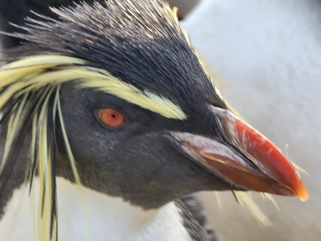 Tiffany Fishface tweet media