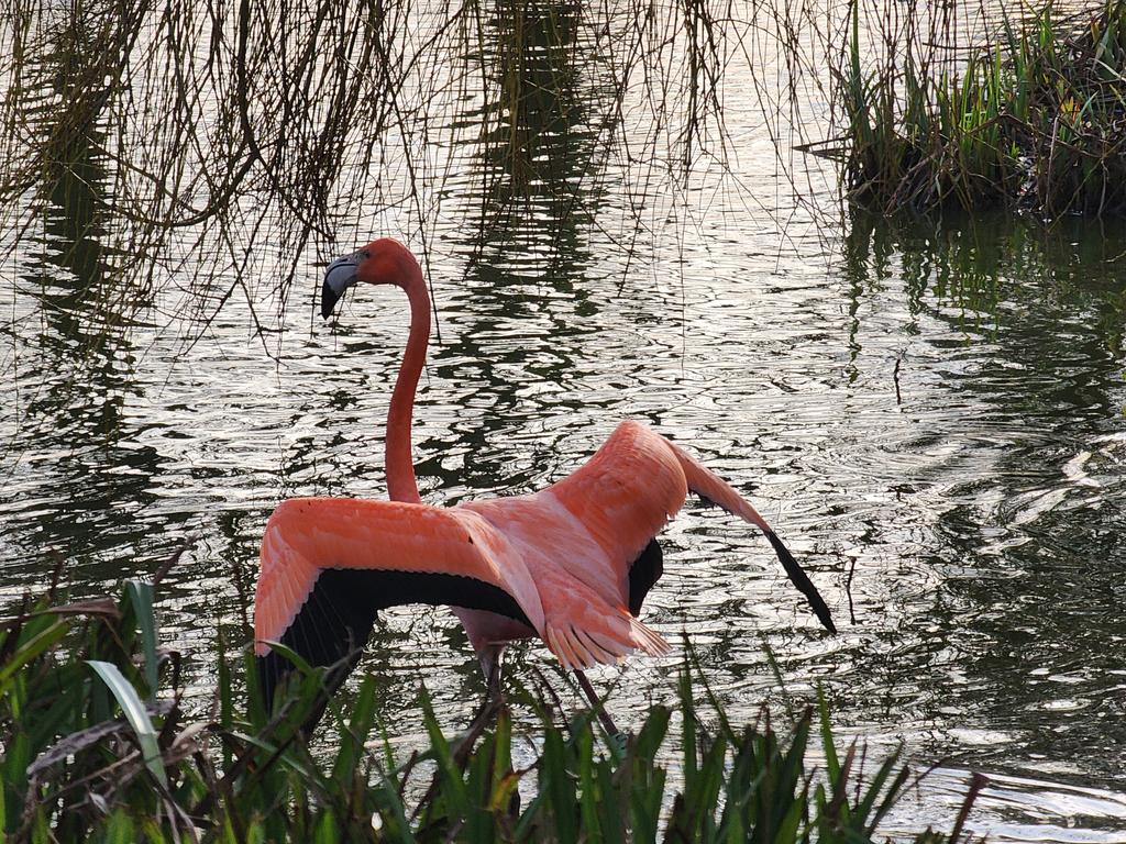 Tiffany Fishface tweet media