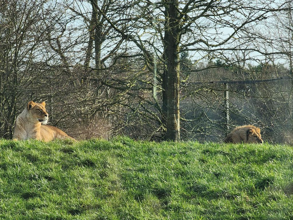 Tiffany Fishface tweet media