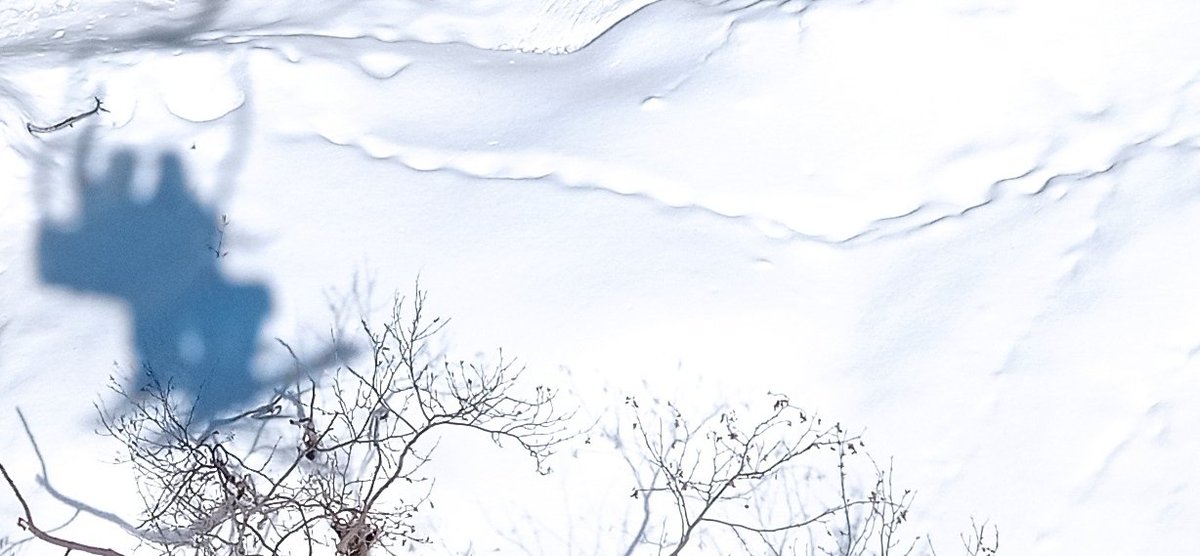 mia4476's tweet image. #Purezza, #spensieratezza e #adrenalina... 
#neve #sci #passorolle #sanmartinodicastrozza