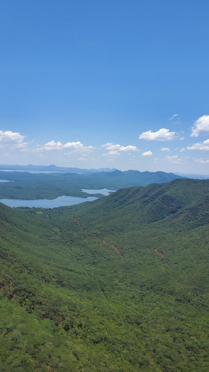 Dariusplug's tweet image. 