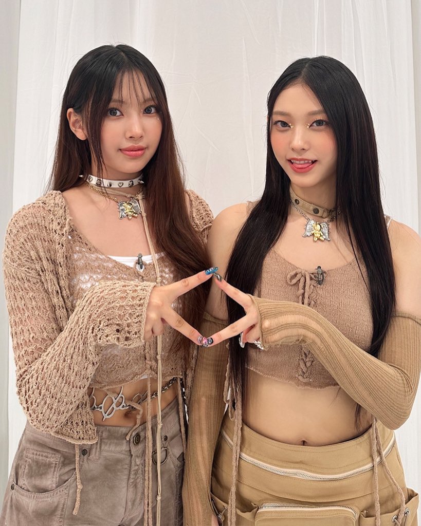 🐹🐱