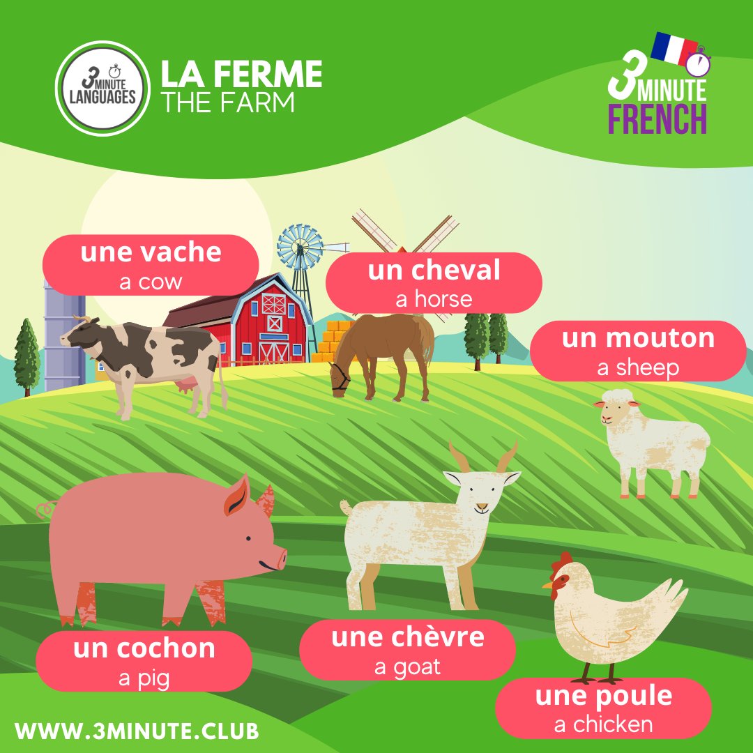 3MLanguages's tweet photo. Here are six French words for animals you might find on a farm
#French #LearnFrench #learningFrench #FrenchVocabulary #FrenchLanguage #LearnFrench #FrenchWOTD #Paris #France #francaise #francais #français #FrenchLanguageCourse #FrenchLanguageLearning
https://t.co/PoHkogYjAK https://t.co/Szaw0TcY2o