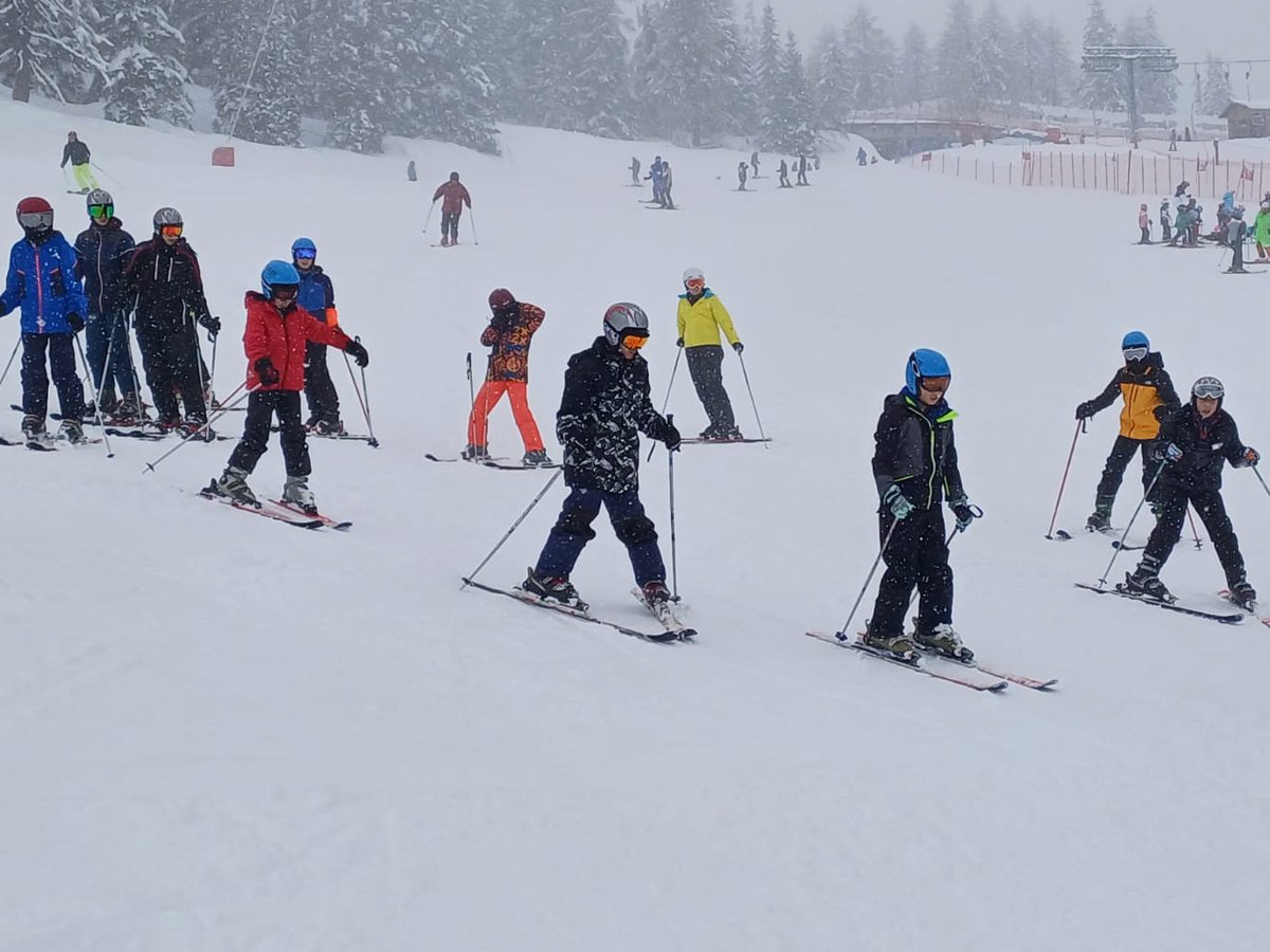 Milbourne Lodge Trips tweet media