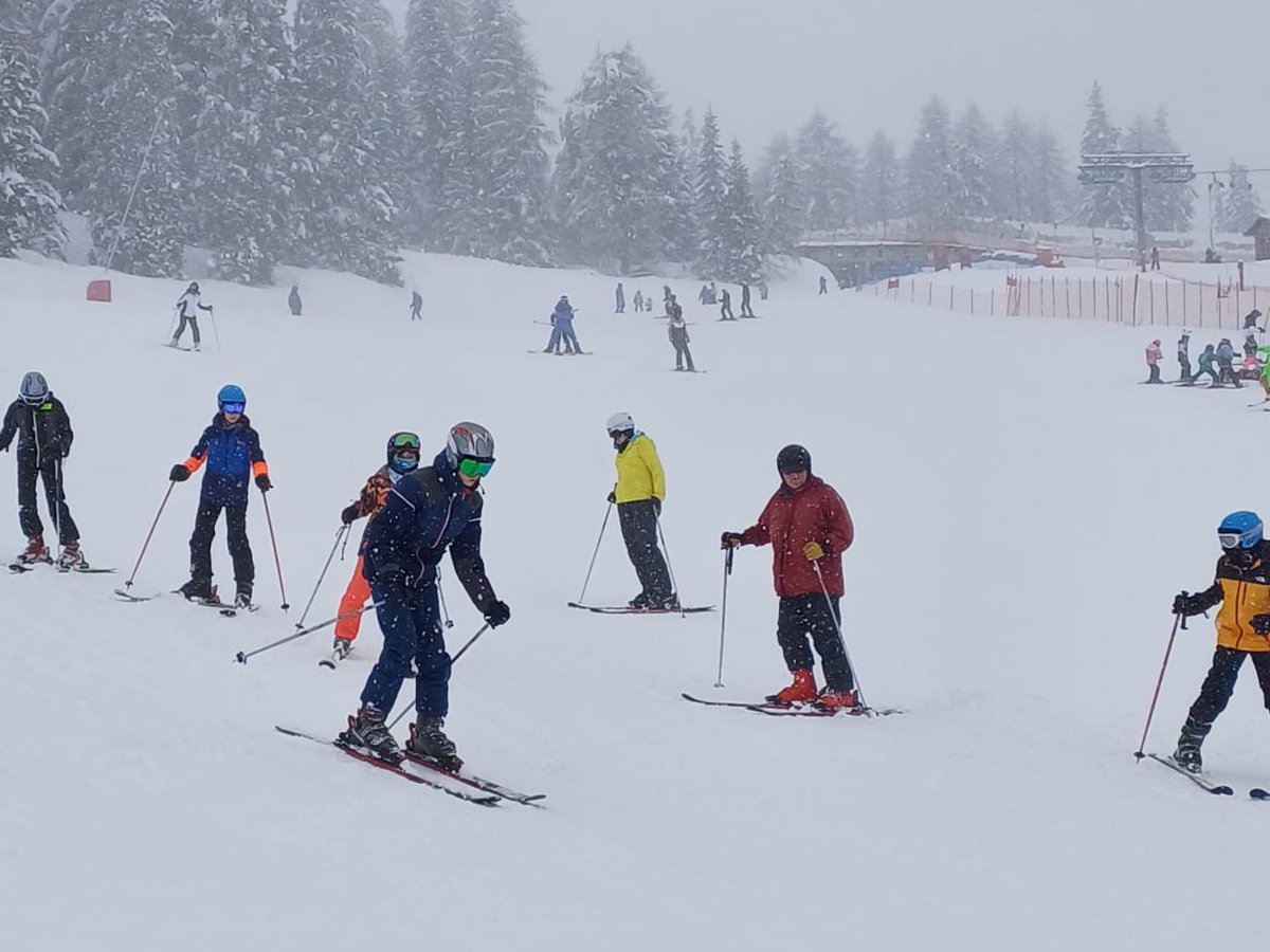 Milbourne Lodge Trips tweet media