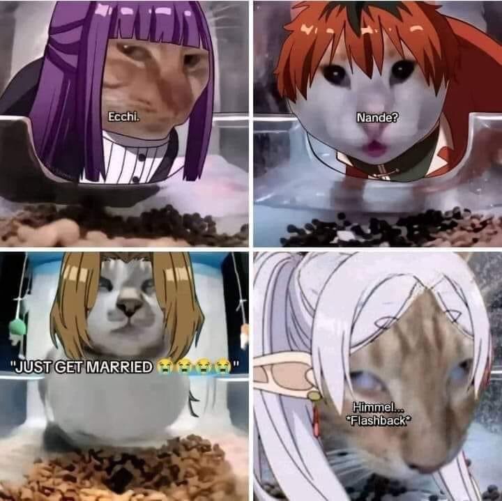RobustaArt's tweet photo. Sousou no Frieren in 4 images: https://t.co/kXymhsD7yR