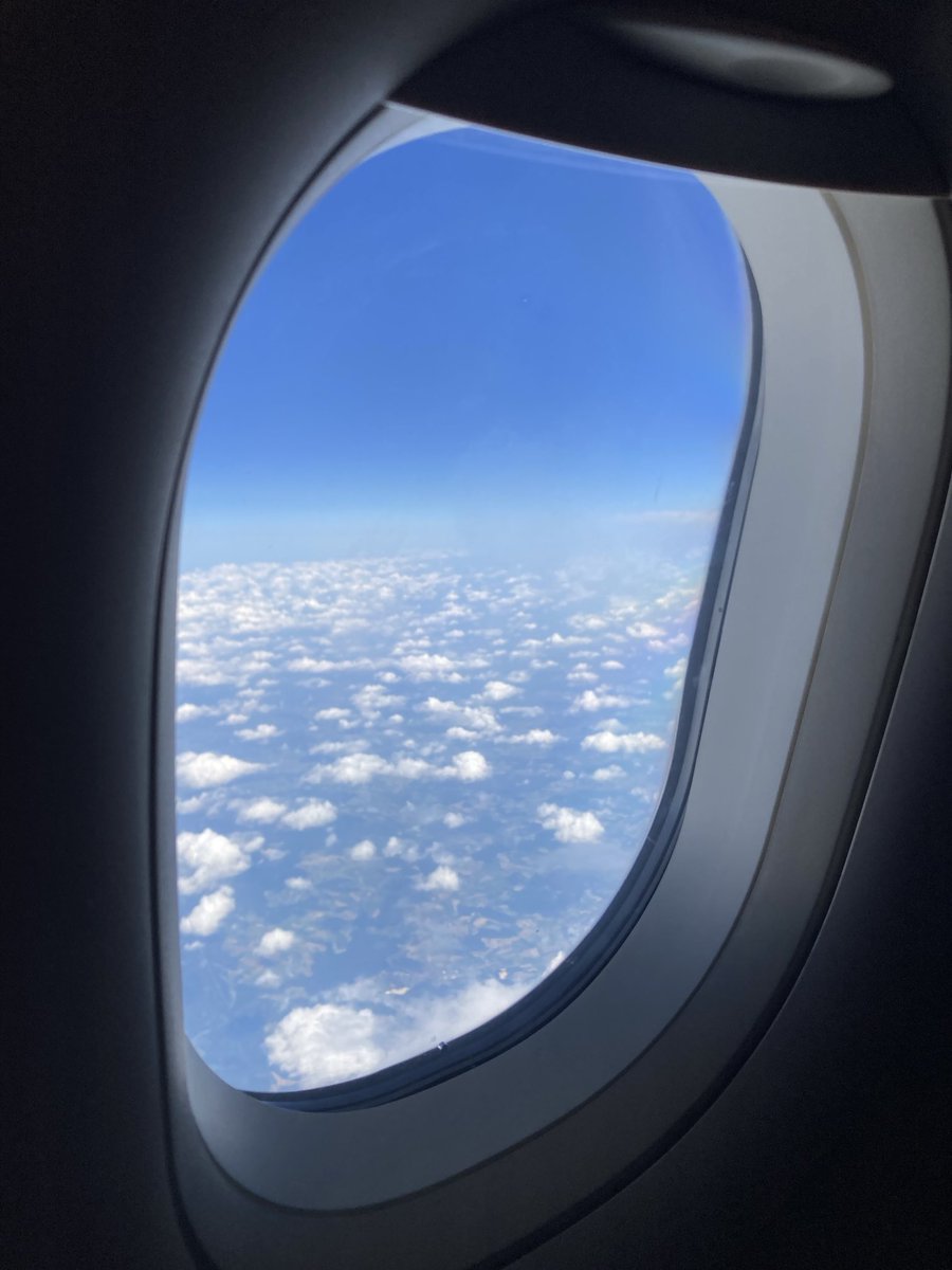 At AJPAE, we love to watch the blue sky! 🦋