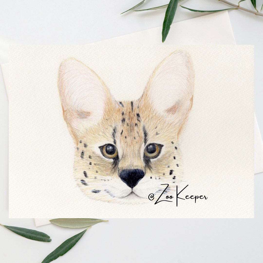 ZooKeeperCreate's tweet photo. Animal Wood Brooch用サービスキャットの顔イラスト😺

 #色鉛筆画 #動物イラスト #動物イラストレーター https://t.co/5NQaDH7dEc
