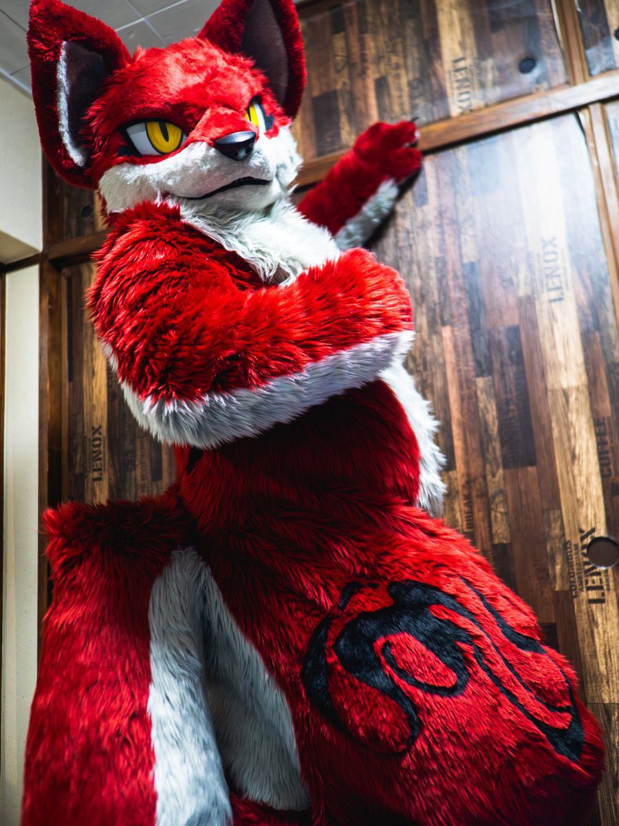 🐺報告😎
犬工房様(<a href="/Doggy_Studio/">犬工房</a> )からファーソナの狼　ルディール　をお迎えしました！
食べるの大好きなパワー狼です！いっぱいモフってやってください！
今後ともよろしくお願いします！
 #犬工房
