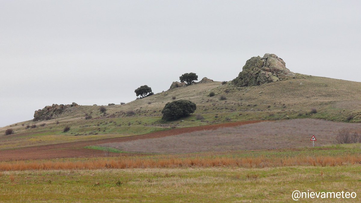 nievameteo's tweet photo. Hoy, día frío tambien en #Castilla.
Pinilla-Ambroz (Segovia).
Un peñasco en medio de la #meseta segoviana. 998 msnm. Atalaya de Tierra de Pinares.
#PeñaDePinilla @TiempoCyLTV https://t.co/XtnvgBIvwp
