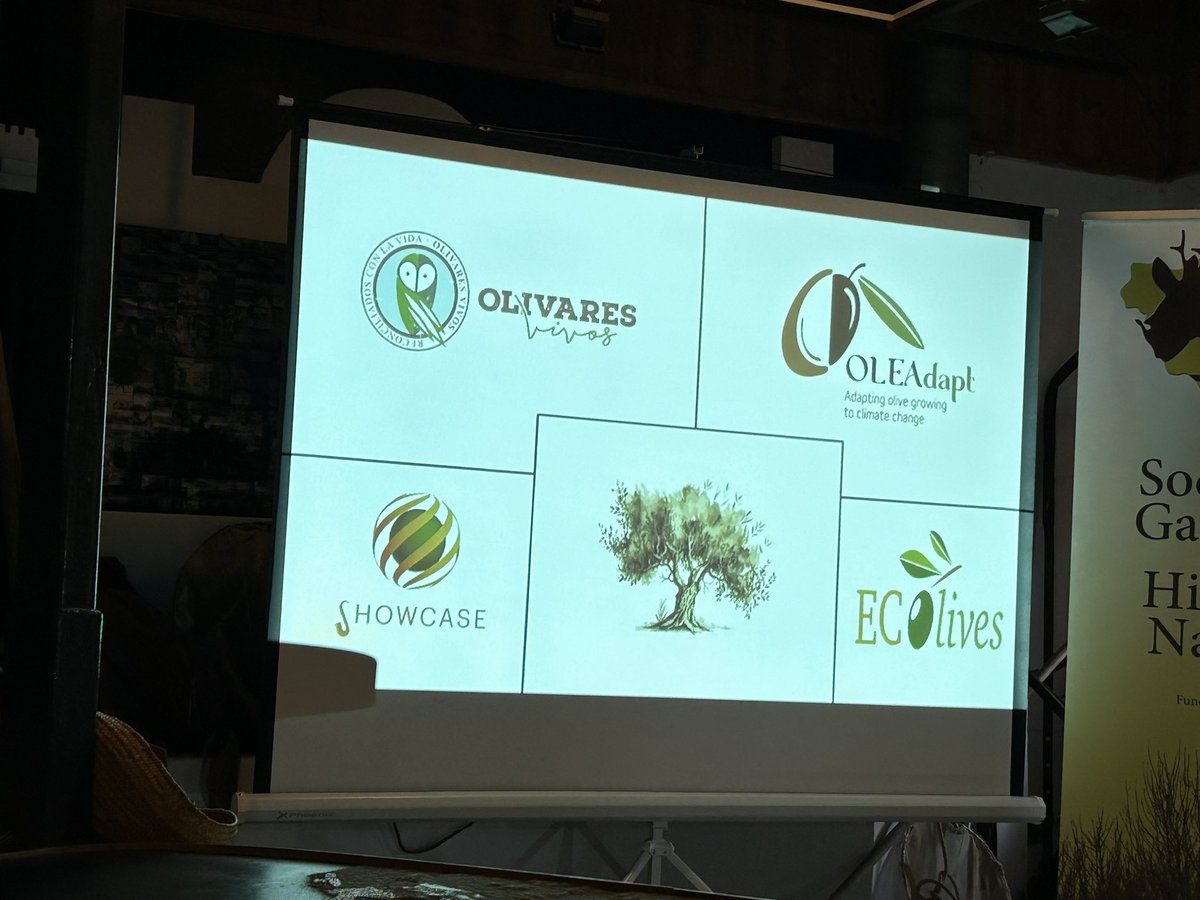 No dia da Mulher e menina na ciência, a nossa colega Vanesa Rivera leva o nosso trabalho para além da fronteira de Portugal!