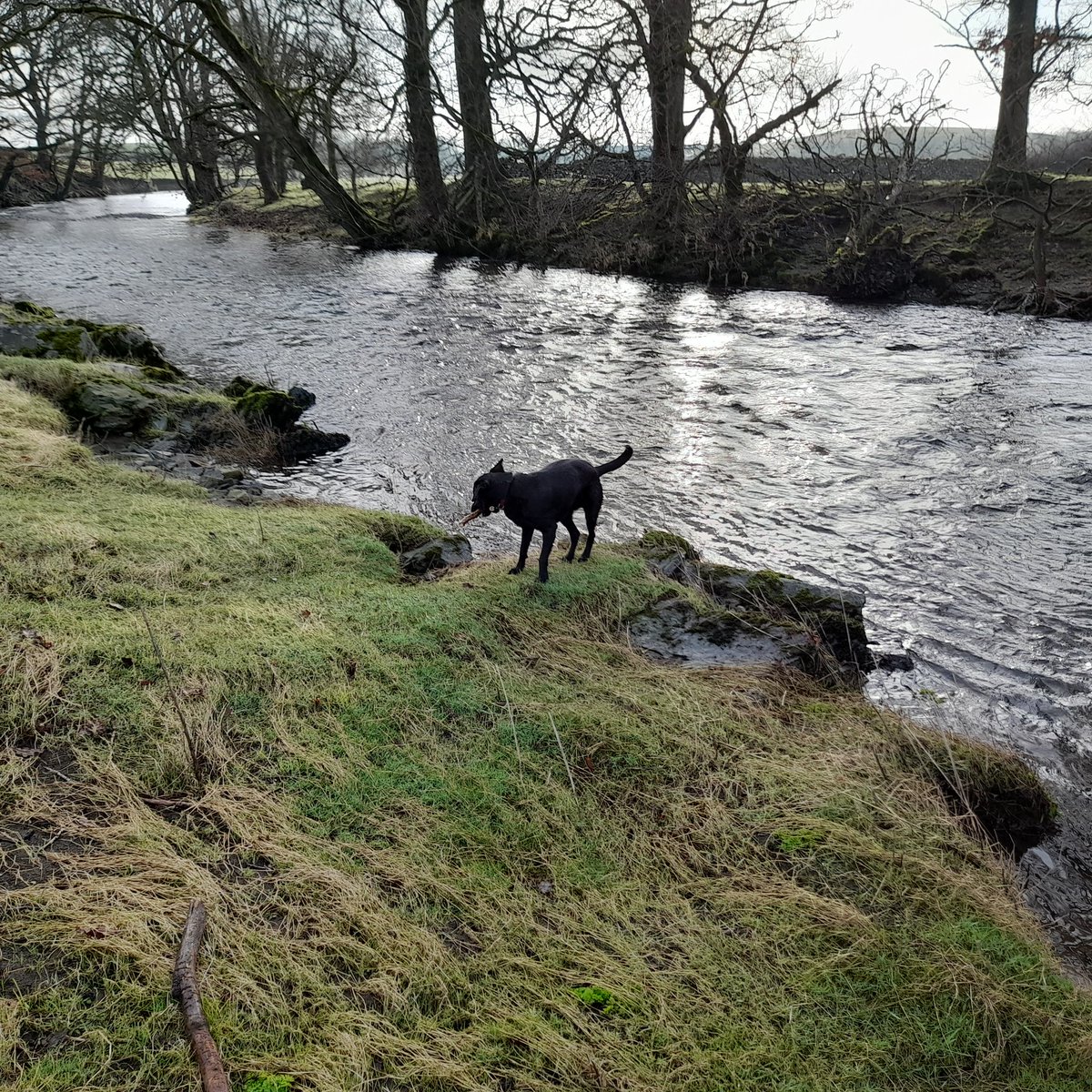 JonathanHumble's tweet photo. #OutWithArthur : ) #Cumbria https://t.co/2dtGliVDdp