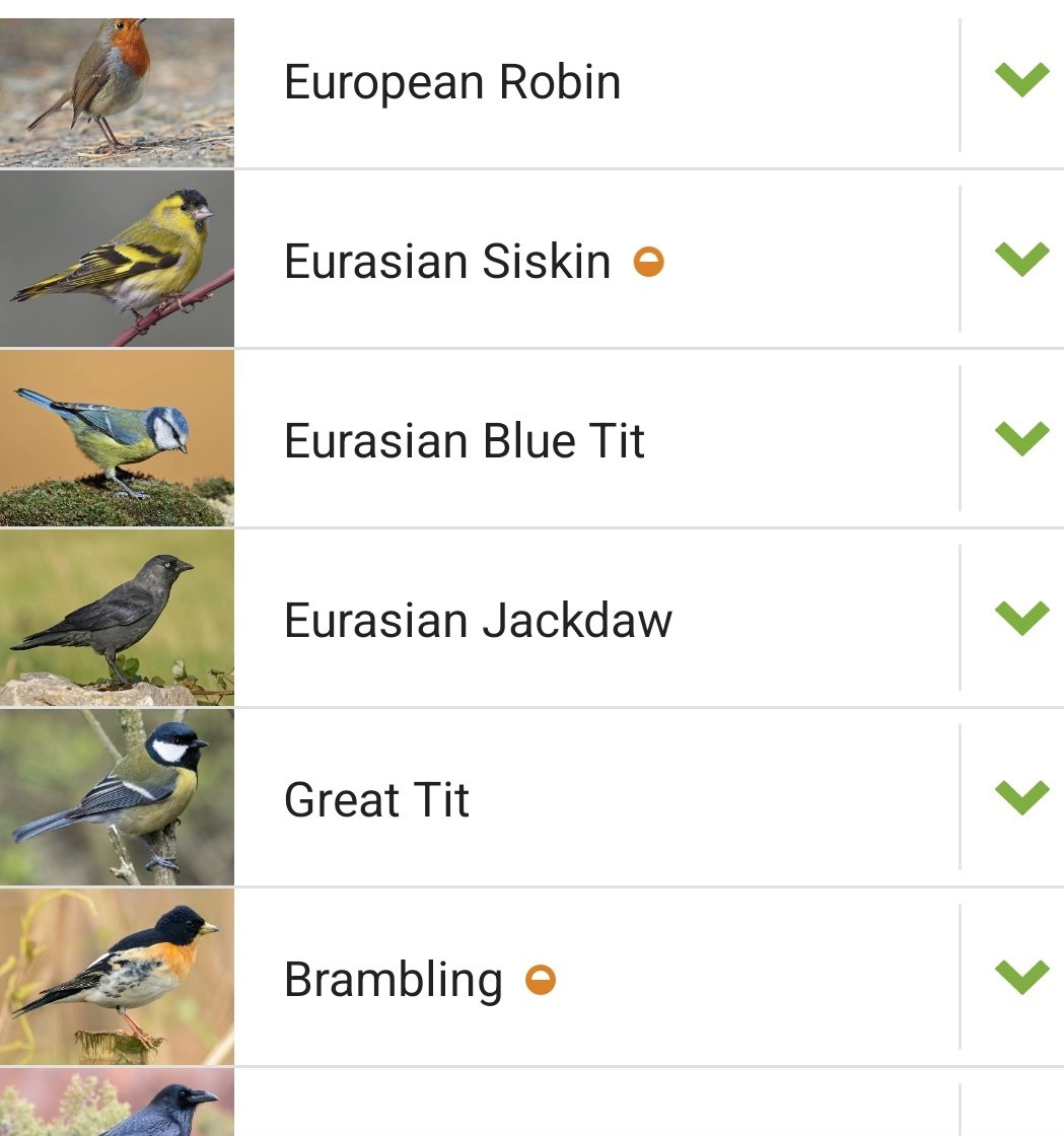 In just two minutes, my @MerlinBirdID app recorded 12 different bird calls in Tannery Lonning #Cumbria. As we drive wildlife to the edge of destruction, lonnings (dialect = 'lanes') are the edges where birds seek refuge.
