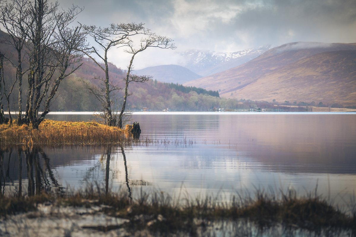 DamianShields1's tweet photo. Loch Arkaig #Scotland #Lochaber #Invermallie #Highlands https://t.co/ERVTYHnQjn https://t.co/qFj2rOEmnY
