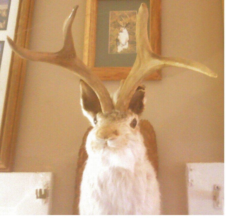 L0patrickleewa's tweet photo. #KillerRabbit #ADevil 187th Medical Battalion #Igotthis ask the Docs  Pantera bonus: #CMAfanfair #Nashville #CowboyPatrick https://t.co/vaDIP4P5q1