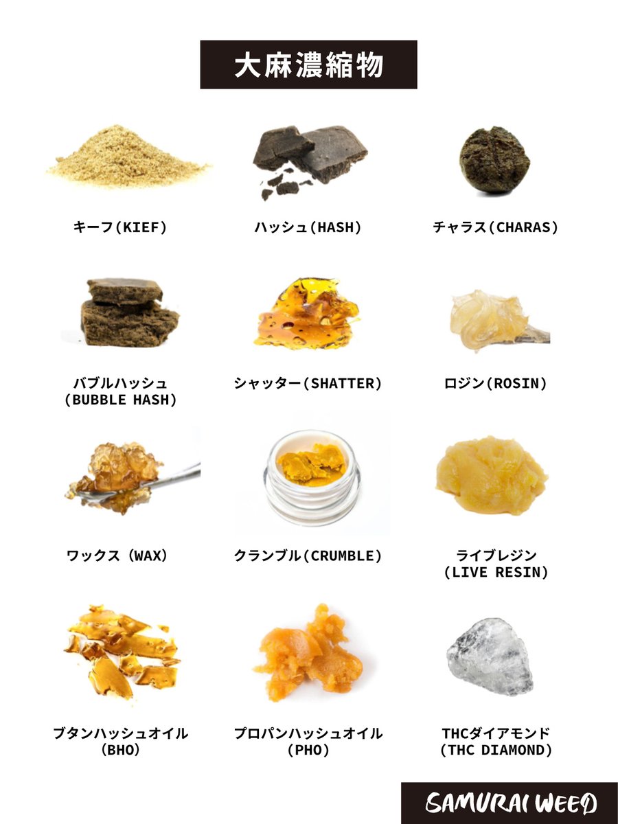 【🔖ブックマーク推奨】大麻濃縮物一覧

1️⃣キーフ（Kief）: 効力★★★
大麻の花や葉を振るったり挽いて得られるトリコームの粉末。簡単に手に入り、高濃度なTHCやCBDを含む。

2️⃣ハッシュ（Hash）: 効力★★★