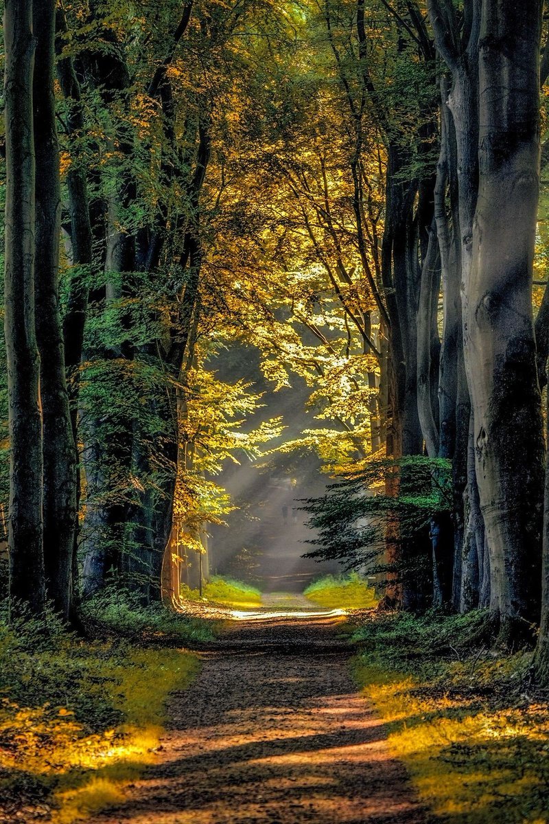 __Earthpictures's tweet photo. https://t.co/CUxsFE447t