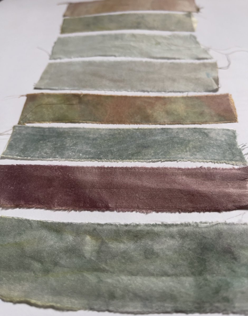 Another photo from this month’s Woad: A Year of Colour workshop at Bagshaw Museum, here’s the results of the salt extraction dyeing methods we tried out. @KirkleesMuseums @WoveninKirklees #GrowingColourTogether #woadayearofcolour #naturaldyeing #woad