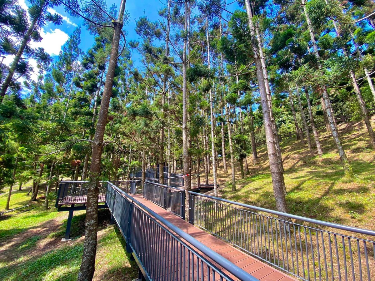 JalanCutiSantai's tweet photo. 📍Ramp @ Taman Saujana Hijau, Putrajaya 

Jom kunjungi 'European Style Park' iaitu Taman Saujana Hijau di Presint 11, Putrajaya🌲🌳🌿 https://t.co/8Pl32r9htv