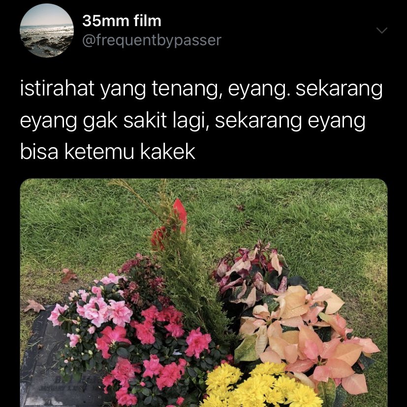 castlekith's tweet photo. 331. https://t.co/JkW9g9YD5S