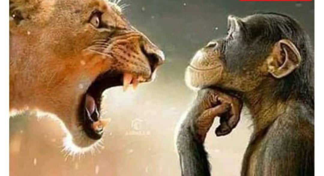 La diabolisation, les complots, les injustices, les menaces, les intimidations, les attaques personnelles contre l’Inspection Générale des Finances ainsi que les agitations des criminels financiers en cravate sont autant des signes concrets qui prouvent que la lutte contre la