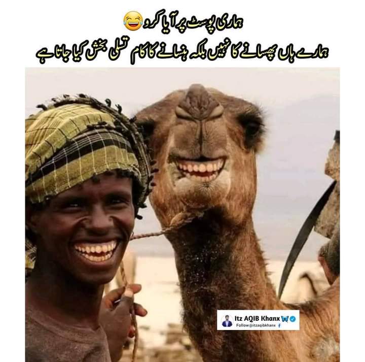 ImranBhatt61863's tweet photo. لائک کریں 💓 فالو کریں فالو بیک ملے گا 💯 https://t.co/NlR6MVVK9b