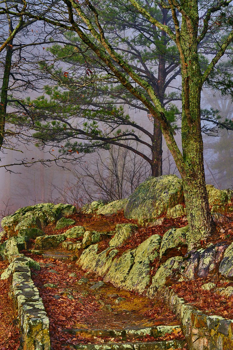 2/10/24 was a foggy morning at the Draper Valley overlook. The light drizzle made the colors pop. It is a nice place to chill. #Fog #Rain #Winter #photography #Landscape #Forest #Rocks #Green #Fineart #fineartphotography #landscapephotography