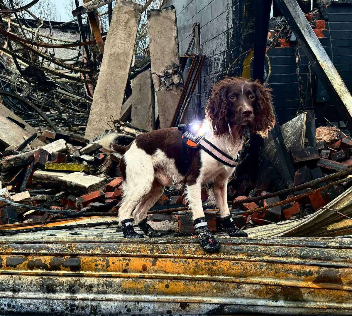 Lancashire Fire & Rescue Service tweet media