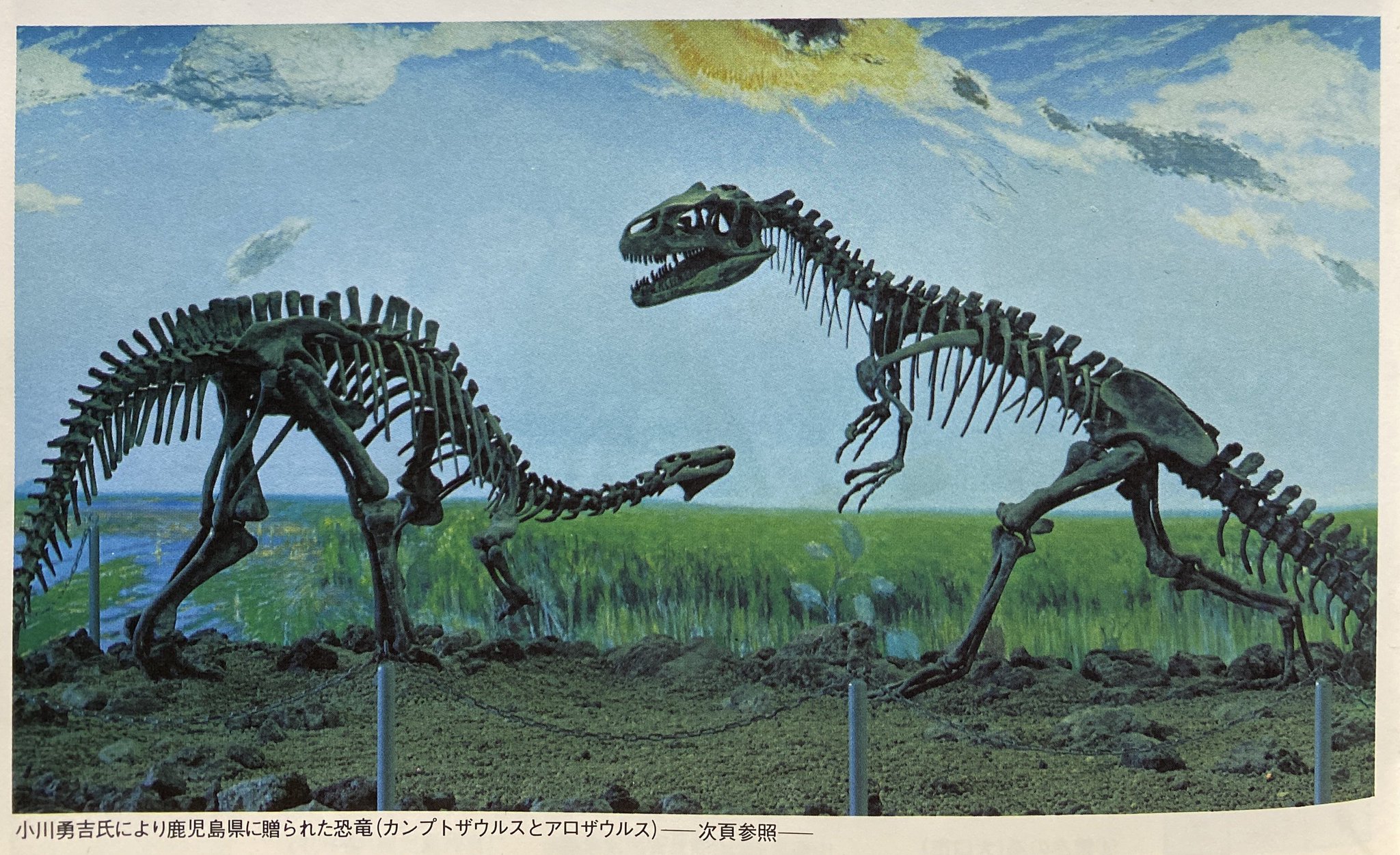 恐竜 モノクローム 2021年2月発売予定新製品をご案内します。 | 株式
