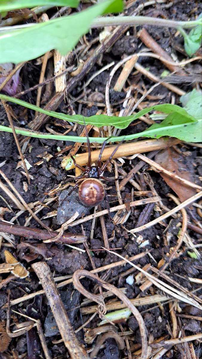 alan ashman tweet media