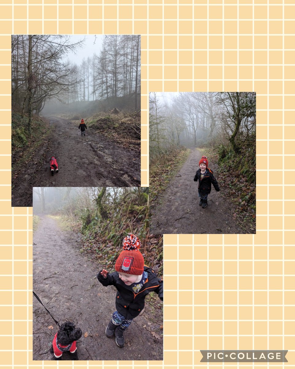 MummyLalaC's tweet photo. @MissHadfield1 , Elijah wanted to show you that he walked Robbie (Jnr) in the Foggy Foggy Forest today 🥰#puppylove #littlebookworm @MrsHopwoodTA @mrsrhodes1104 @Inspire_Ashton https://t.co/O3pmEgxy3G