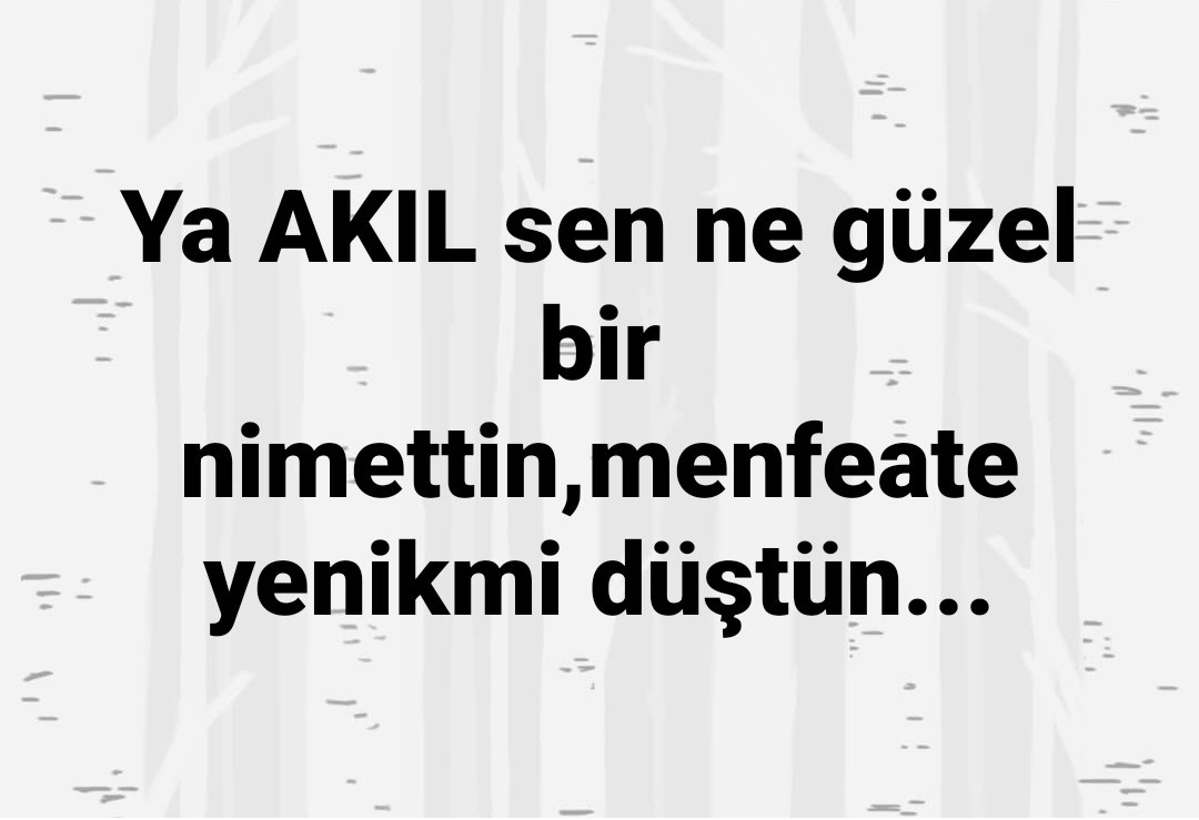 fahrettin özkaya (@fahrenaytt72) on Twitter photo 