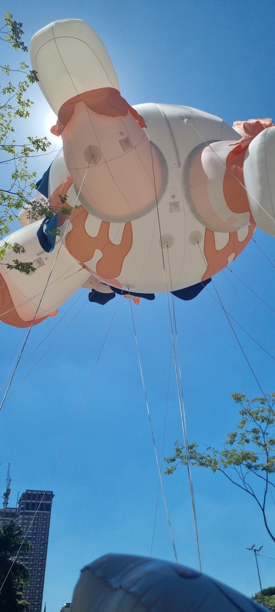 shimschan's tweet image. #Genshinlmpact #PaimonCarnaval