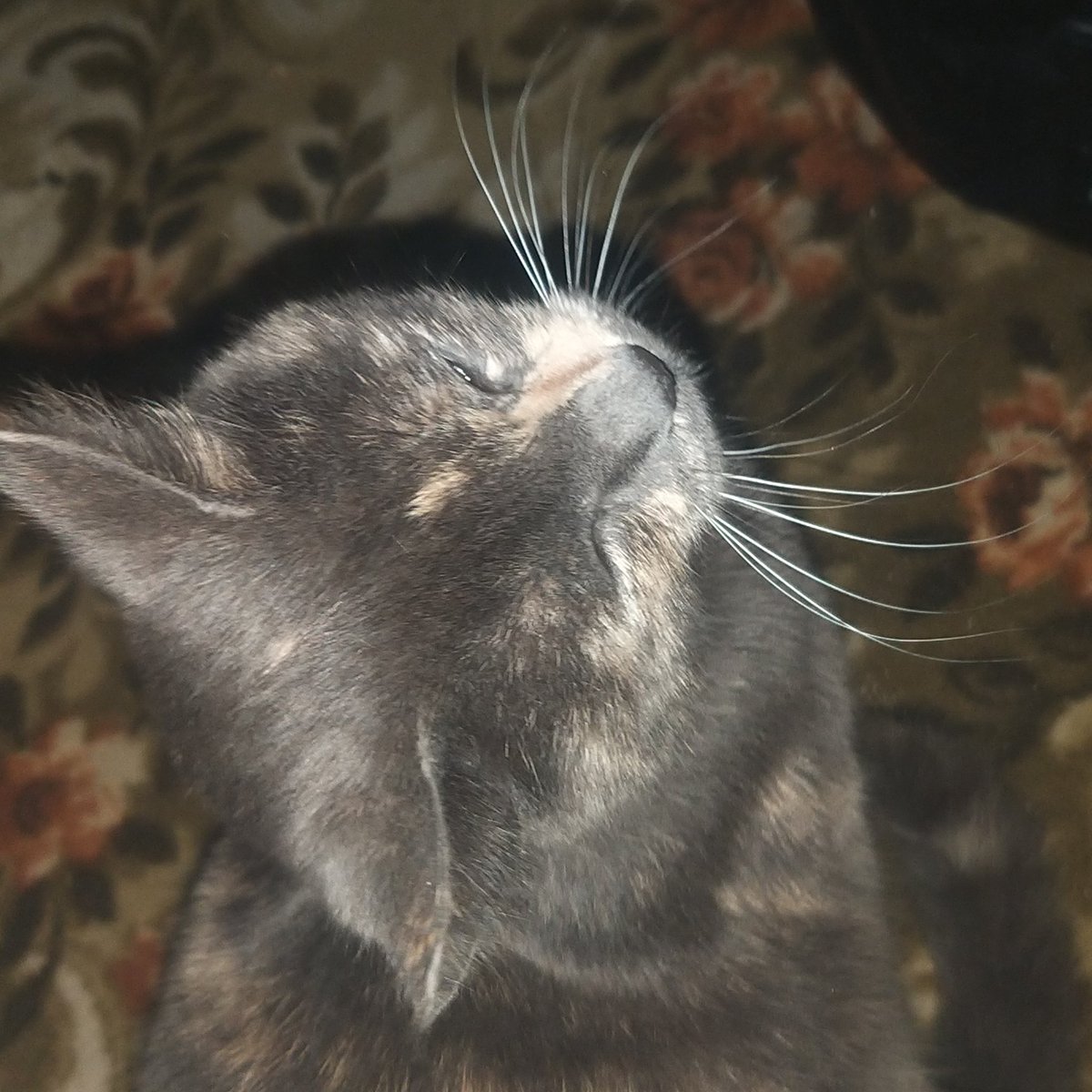 #NewProfilePic