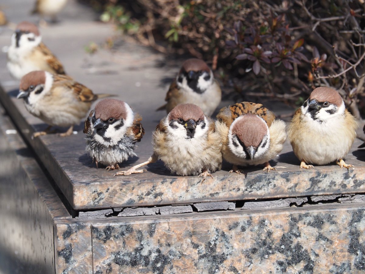 ちゅんちゅん (@chunchu0803) / Posts / X