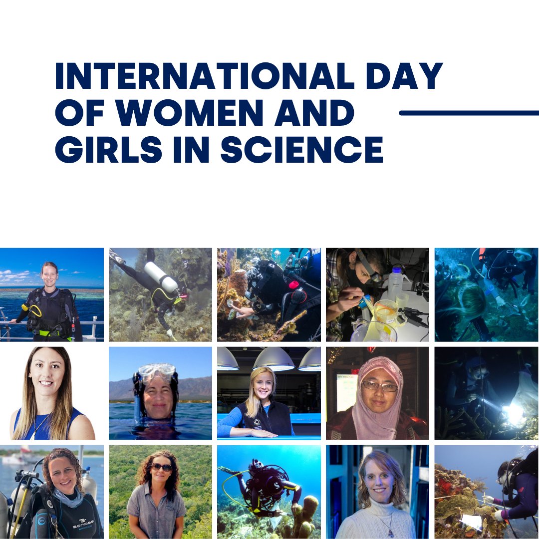 CORDAP_'s tweet photo. Cheers to the brilliant minds shaping the future of coral research, conservation and restoration!

On this International Day of Women and Girls in Science, we celebrate the fierce dedication of ALL lady scientists – but we have a special place in our hearts for our coral reseachers.

Join us in honoring the incredible female leaders and CORDAP awardees shaping the destiny of coral conservation. Their courage, brilliance, and boundless dedication are the driving force behind a wave of positive change.`

Learn more about the game-changing projects on coral science, conservation and restoration funded by CORDAP – and their inspiring leaders - in #LinkInBio

#womeninscience #girlsinscience