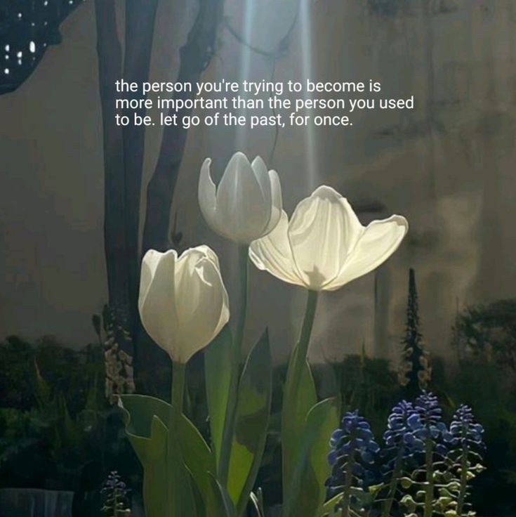 lovedropx's tweet image. 