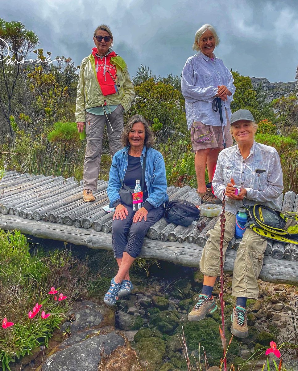Wildflower walk with fynbos friends on the iconic Table Mountain. One of the seven ‘Wonders of Nature’ was a mega bucket list ☑️

#friends #naturewalk #naturelovers #naturegeography #pringlebayfynbos #tablemountainnationalpark #wondersofnature #bucketlist #beautifullsouthafrica