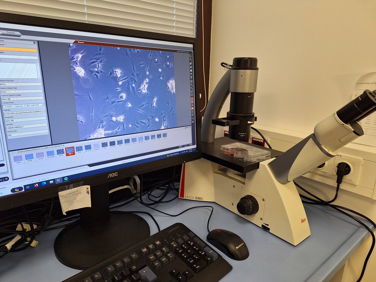tomaciencia's tweet photo. Si el #diadelamujerylaninaenlaciencia cae en domingo, se va al laboratorio en domingo https://t.co/zibcAqwDs2